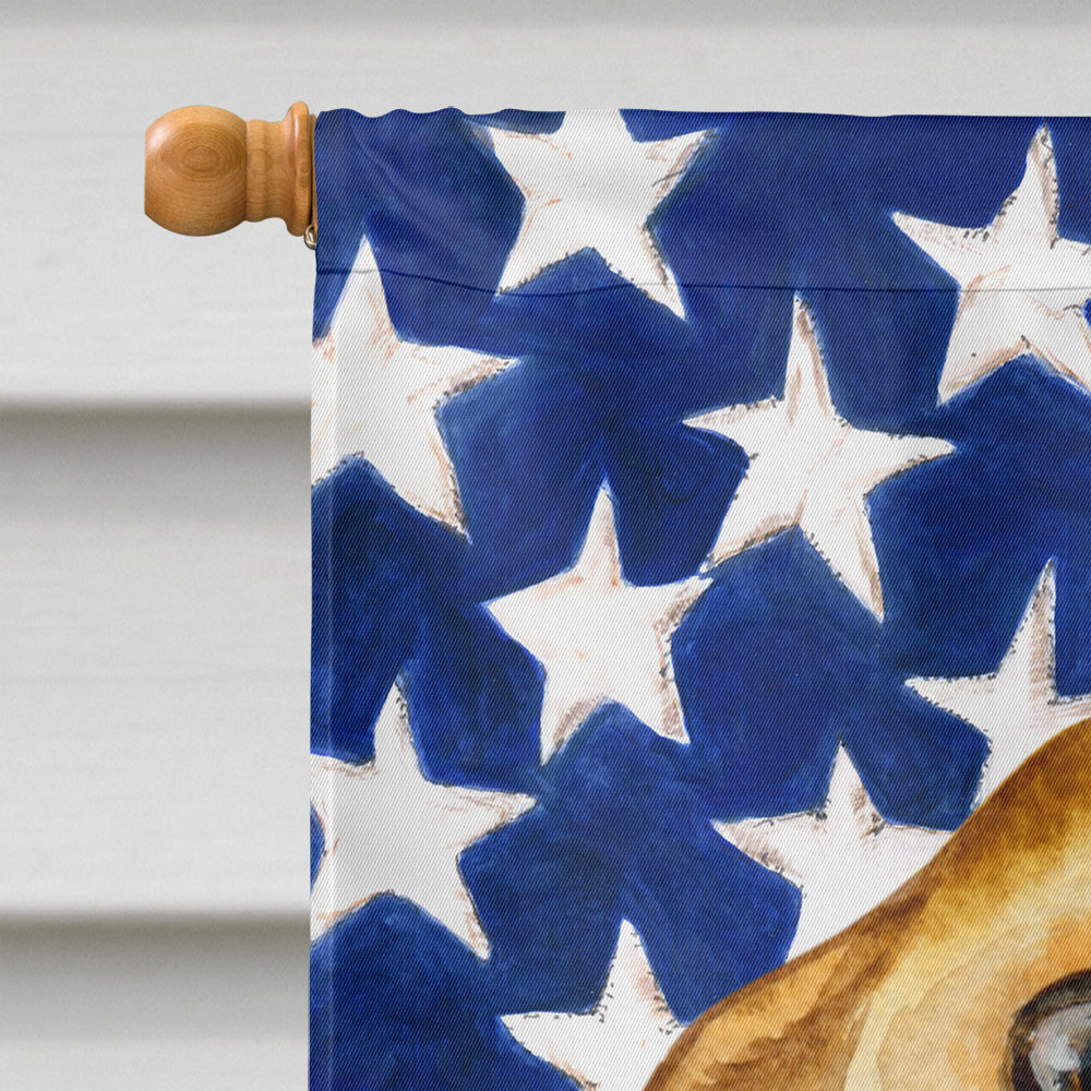 Chihuahua Patriotic Flag Canvas House Size BB9658CHF