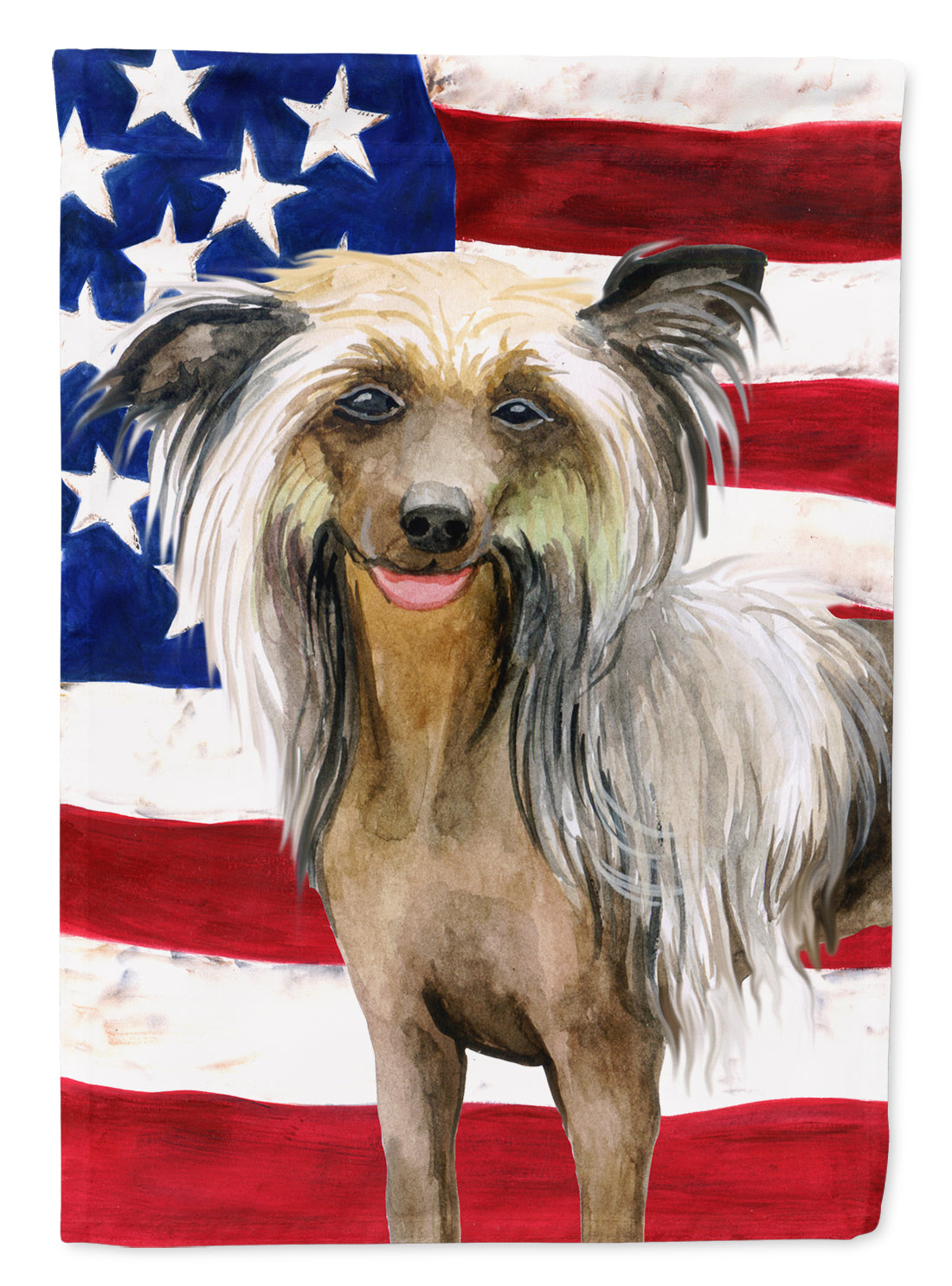Chinese Crested Patriotic Flag Canvas House Size BB9659CHF