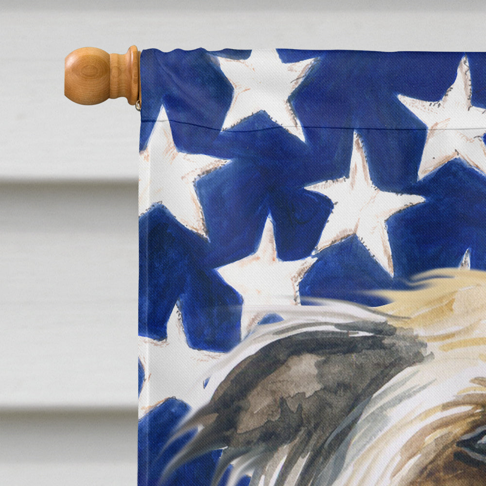 Chinese Crested Patriotic Flag Canvas House Size BB9659CHF