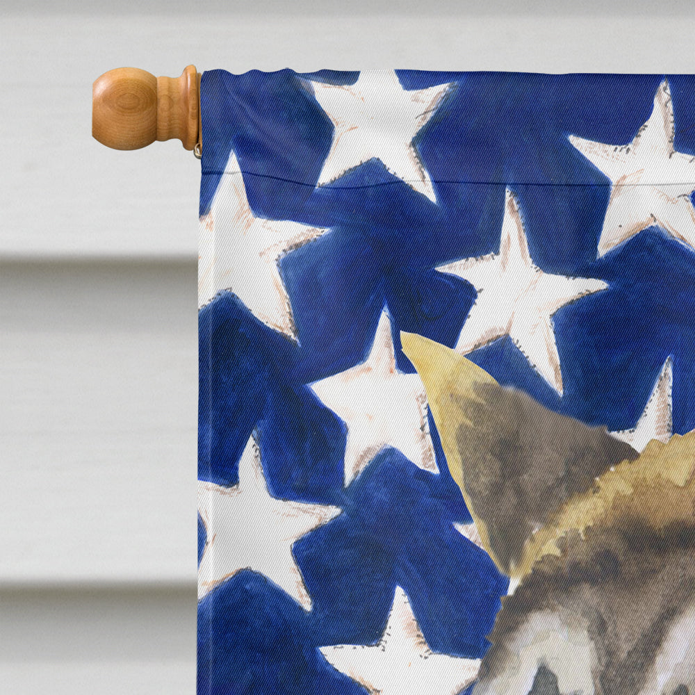 Drapeau patriotique américain Akita Taille de la maison en toile BB9669CHF