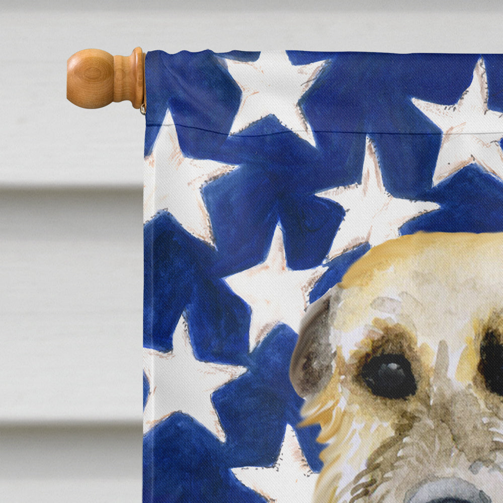 Irish Wolfhound Patriotic Flag Canvas House Size BB9670CHF