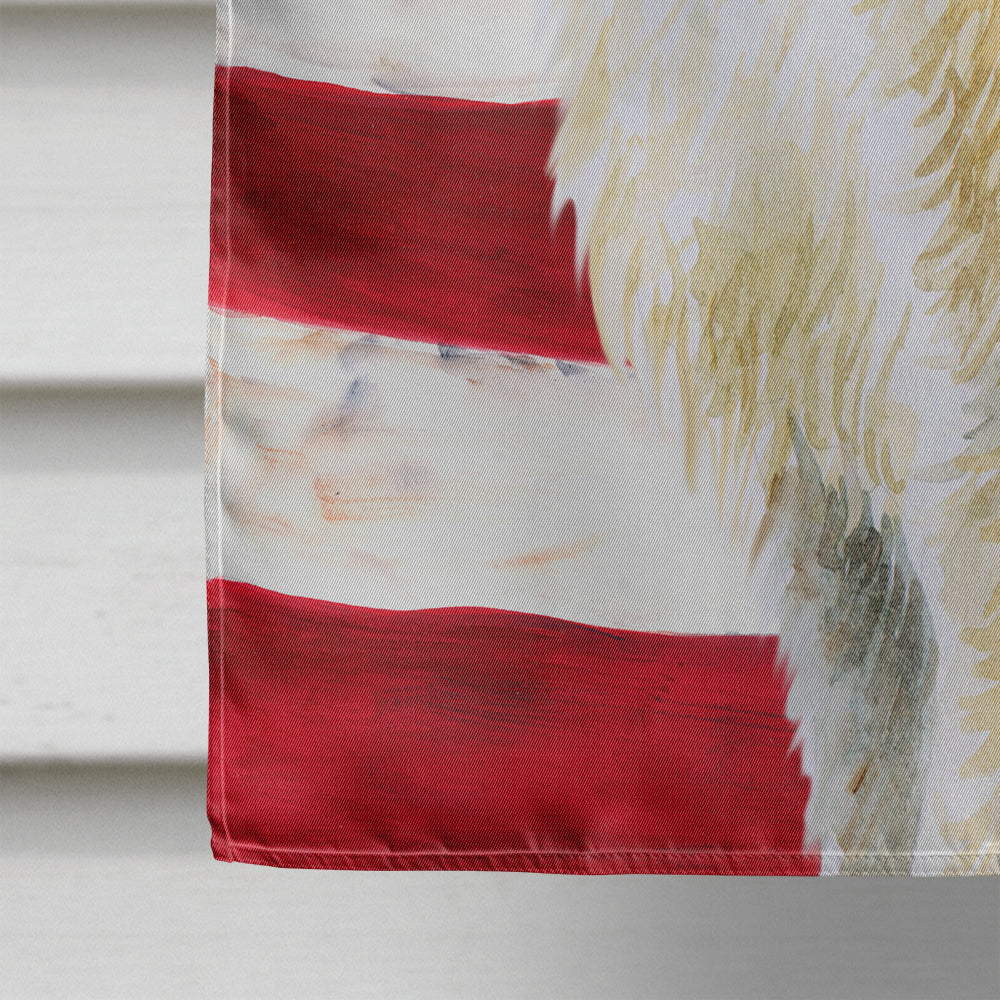 Irish Wolfhound Patriotic Flag Canvas House Size BB9670CHF