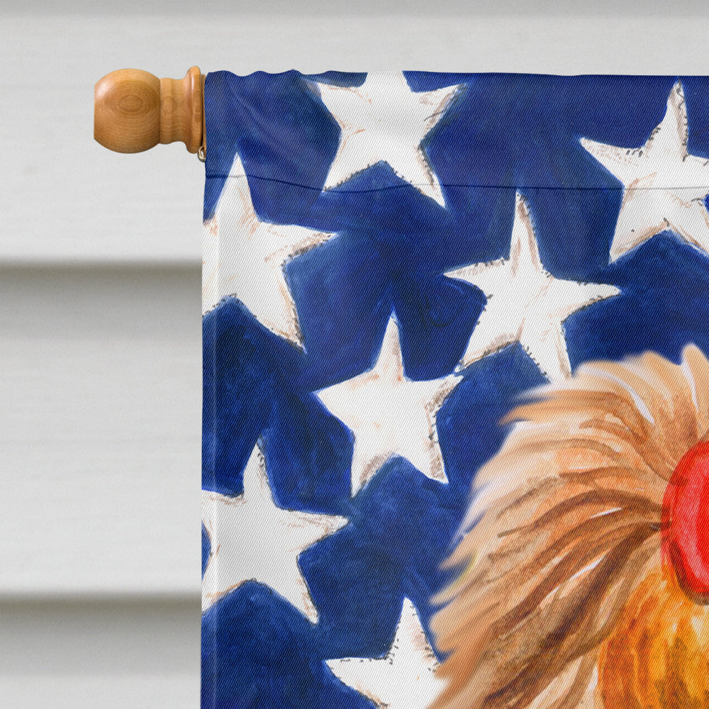 Yorkshire Terrier Patriotic Flag Canvas House Size BB9685CHF