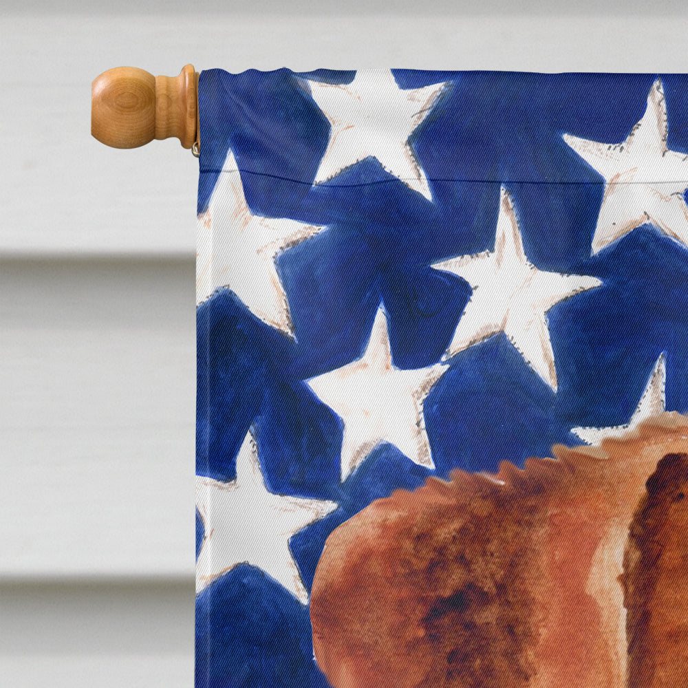 Jack Russell Terrier Patriotic Flag Canvas House Size BB9689CHF  the-store.com.