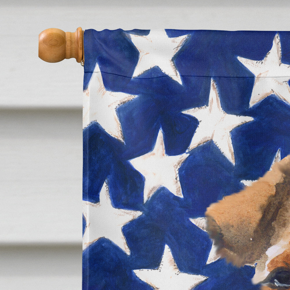Welsh Terrier Patriotic Flag Canvas House Size BB9700CHF