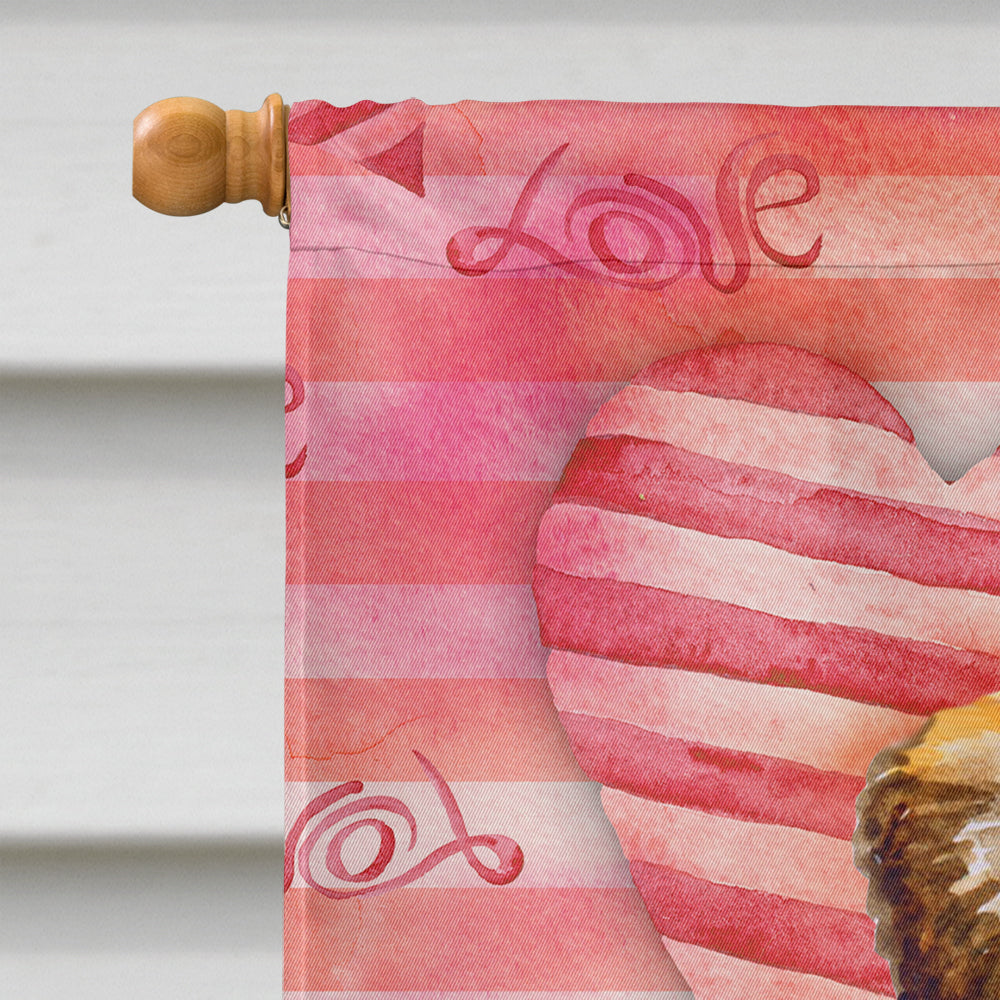 Small Brabant Griffon Love Flag Canvas House Size BB9754CHF