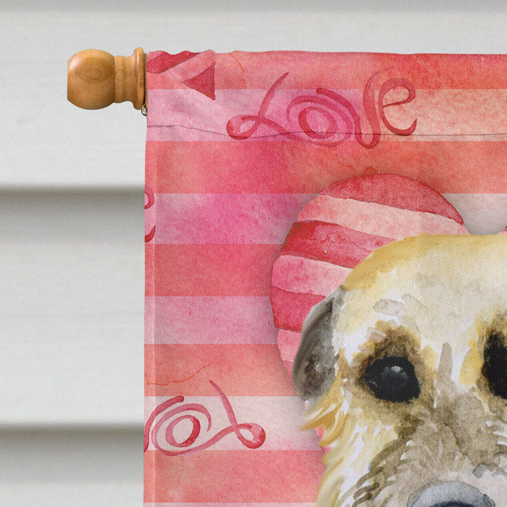 Irish Wolfhound Love Flag Canvas House Size BB9757CHF
