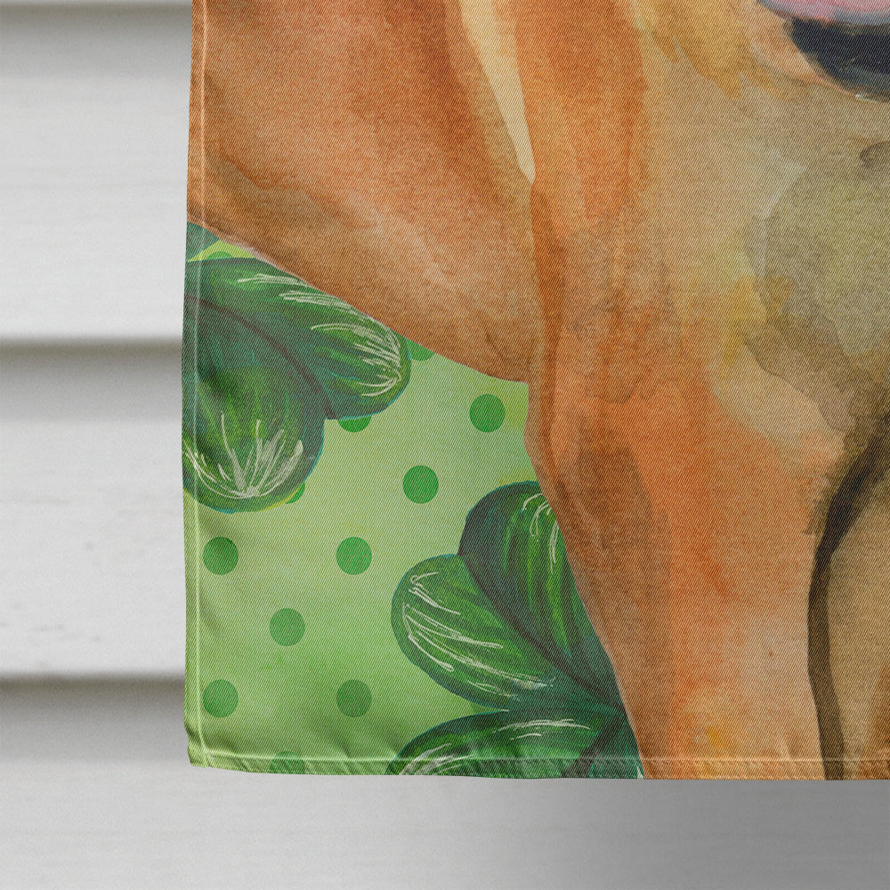 Boerboel Mastiff St Patrick's Flag Canvas House Size BB9820CHF