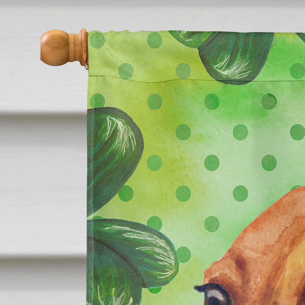 Dachshund St Patrick's Flag Canvas House Size BB9826CHF  the-store.com.