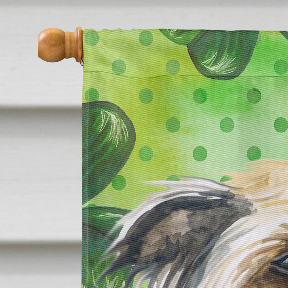 Chinese Crested St Patrick's Flag Canvas House Size BB9833CHF