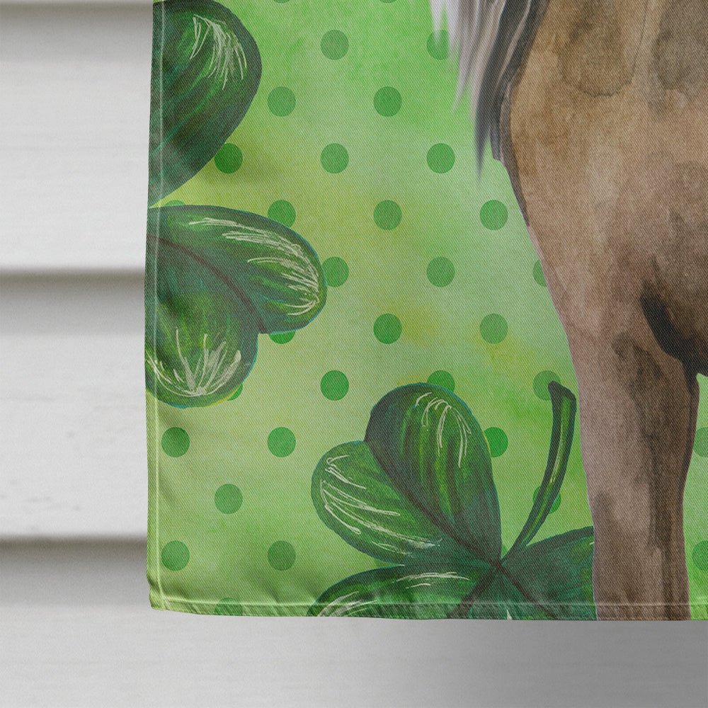 Chinese Crested St Patrick's Flag Canvas House Size BB9833CHF  the-store.com.