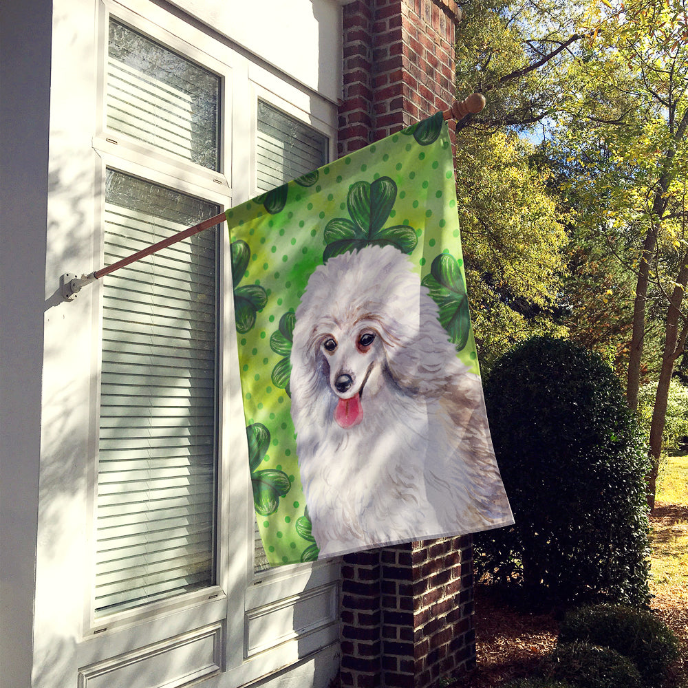 Medium White Poodle St Patrick's Flag Canvas House Size BB9857CHF