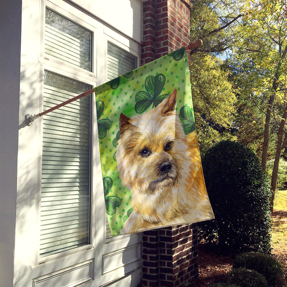 Cairn Terrier St Patrick's Flag Canvas House Size BB9864CHF  the-store.com.