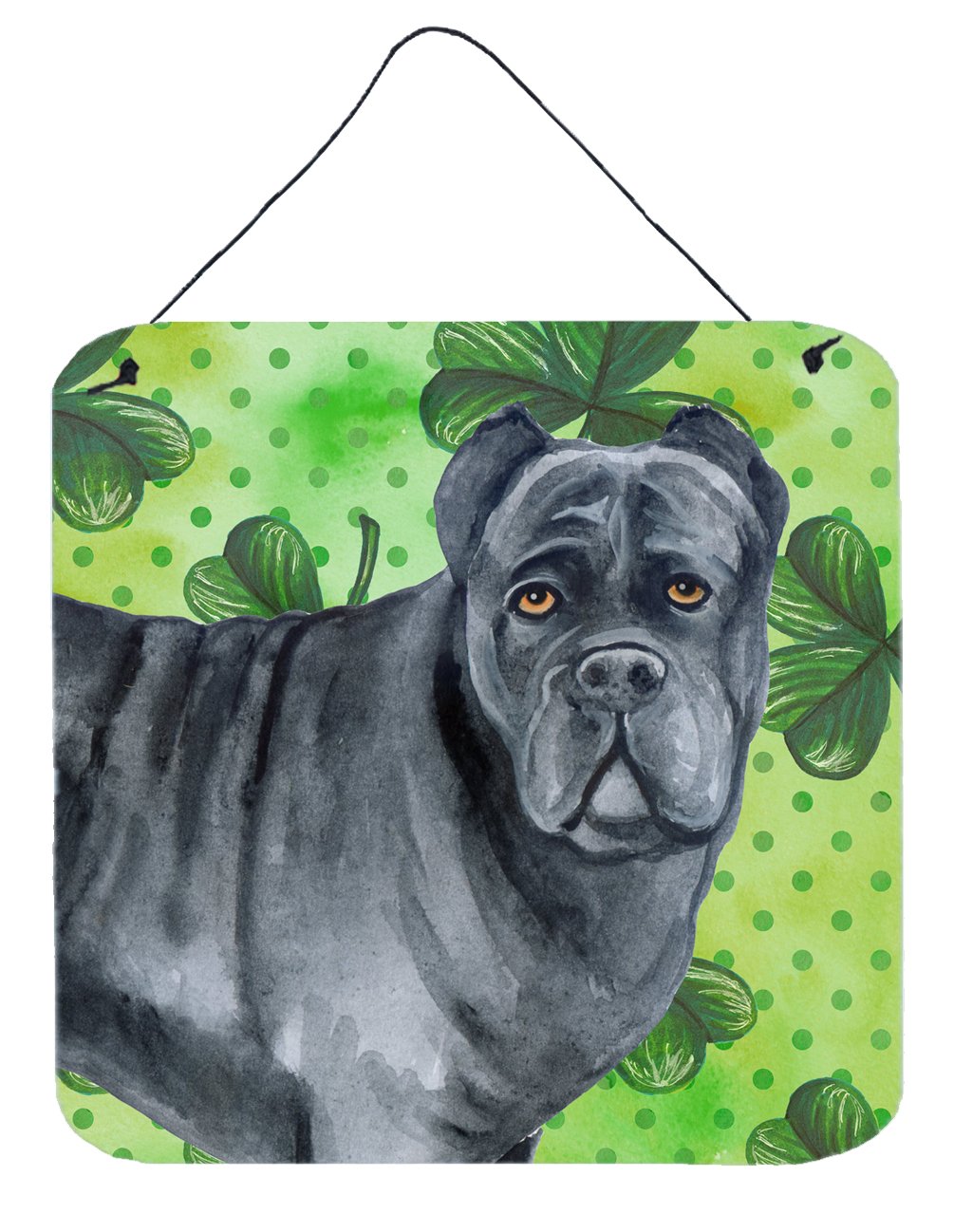 Cane Corso St Patrick&#39;s Wall or Door Hanging Prints BB9868DS66 by Caroline&#39;s Treasures