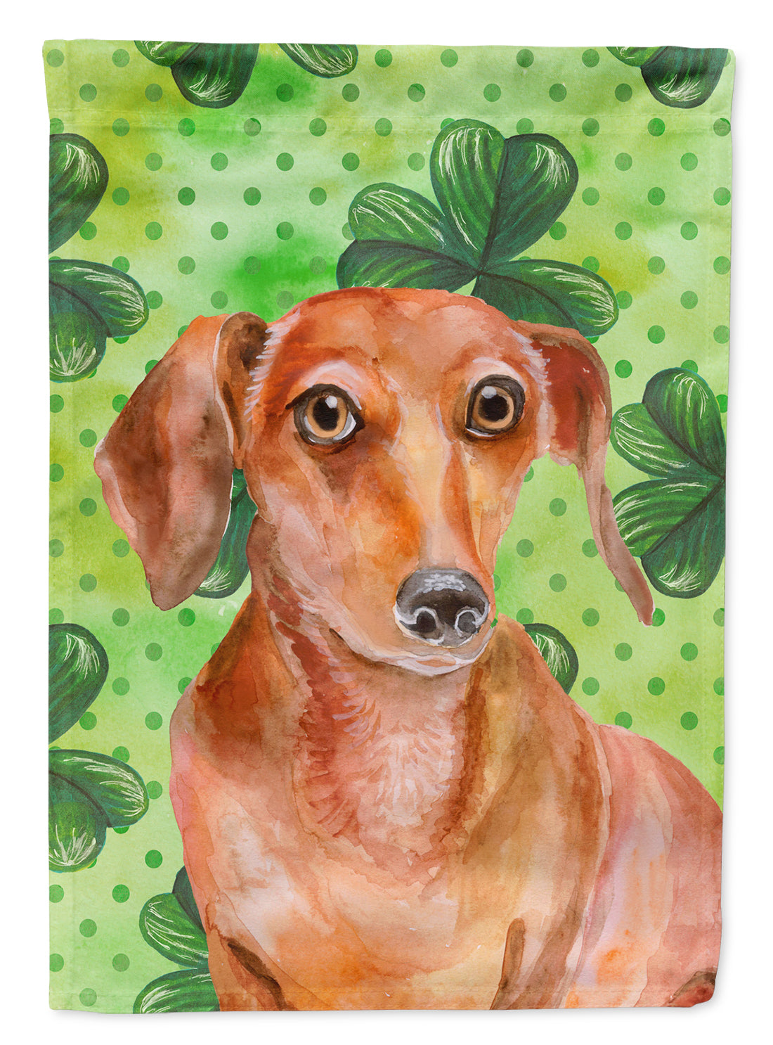 Red Dachshund St Patrick&#39;s Flag Canvas House Size BB9881CHF