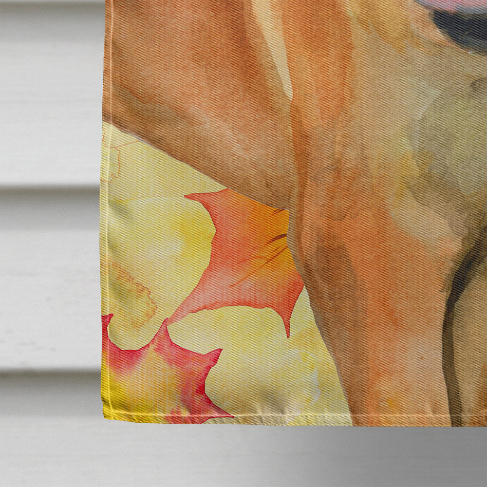 Boerboel Mastiff Fall Flag Canvas House Size BB9907CHF