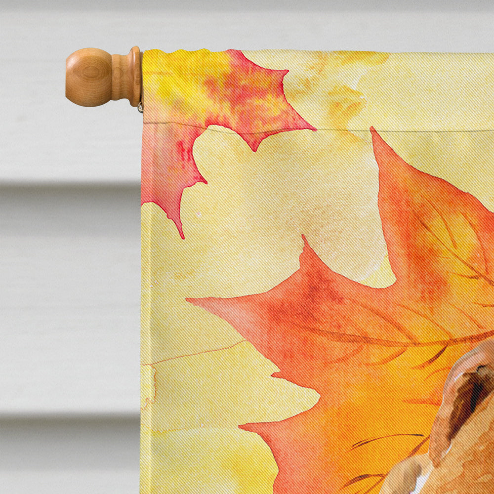 Fox Terrier Fall Flag Canvas House Size BB9911CHF  the-store.com.