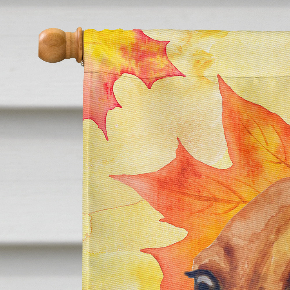 Caroline's Treasures Dachshund Fall Flag Canvas House Size BB9913CHF