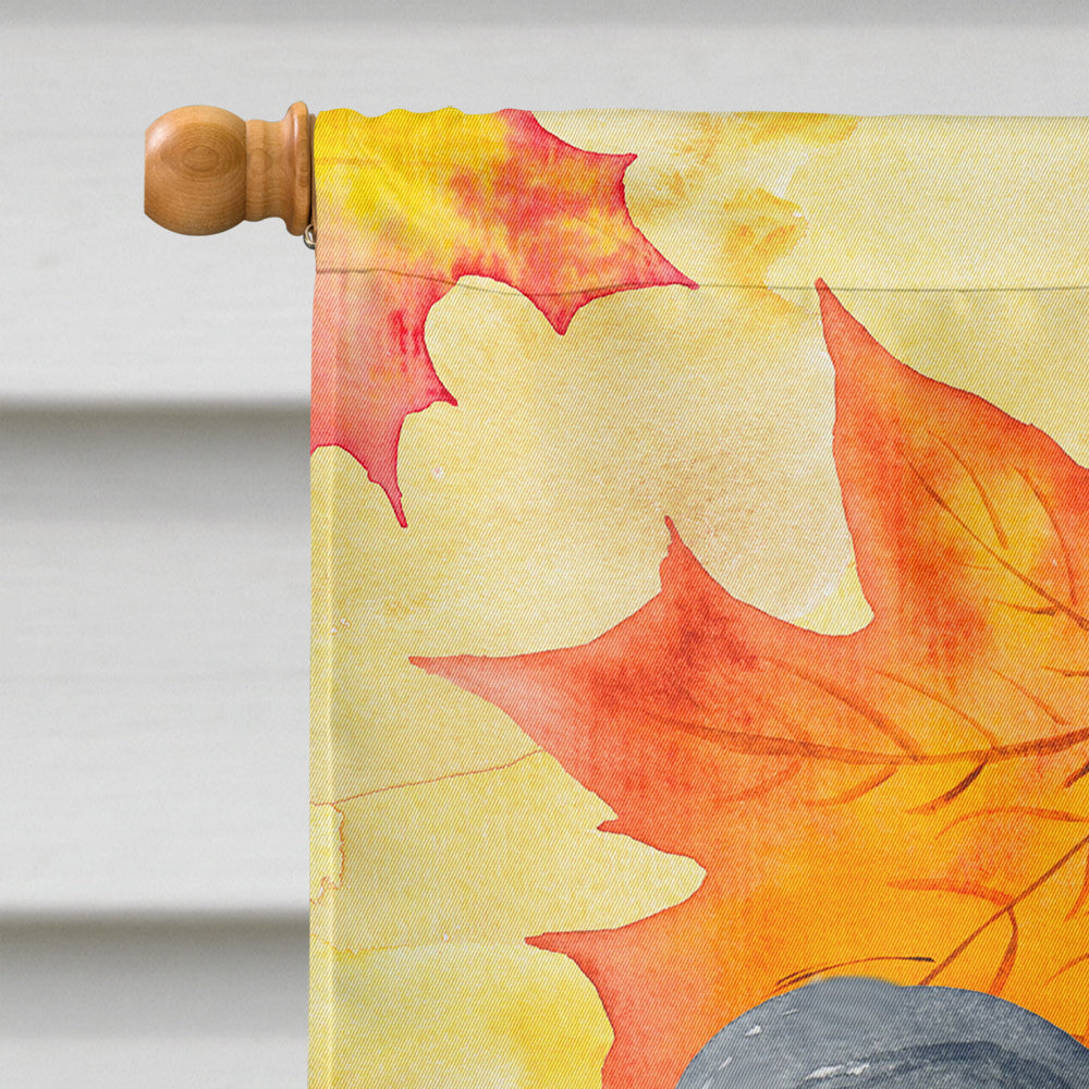 Papillon Fall Flag Canvas House Size BB9918CHF  the-store.com.