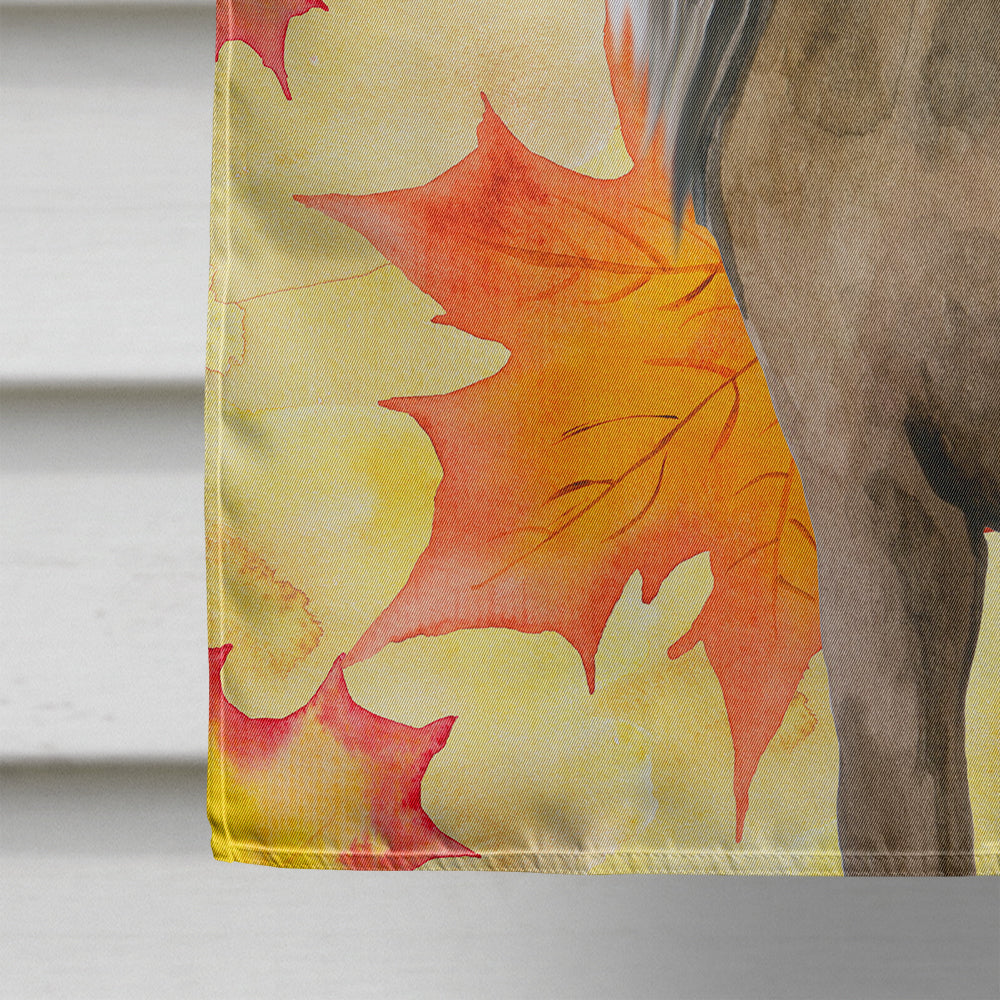 Chinese Crested Fall Flag Canvas House Size BB9920CHF  the-store.com.