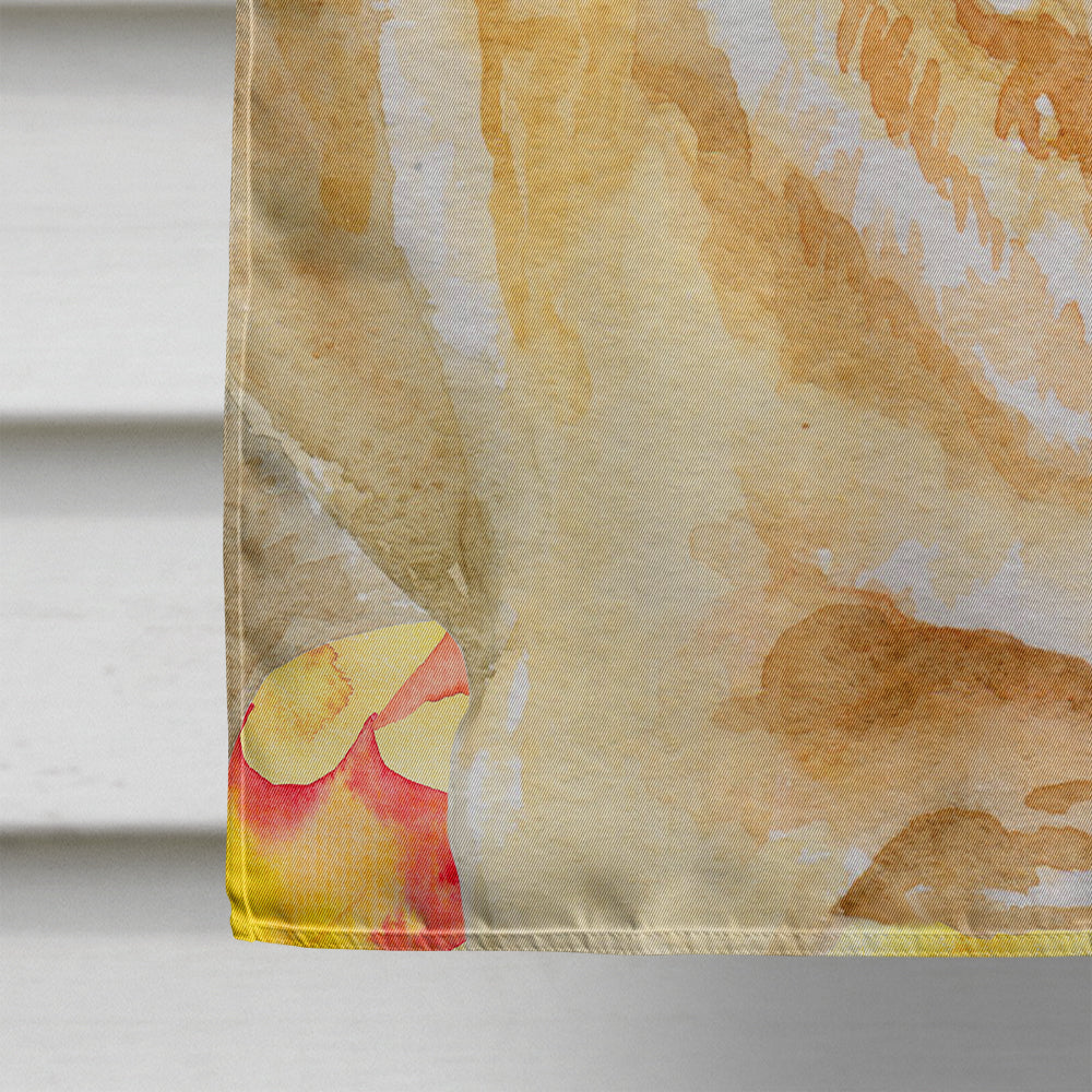 Golden Retriever Fall Flag Canvas House Size BB9925CHF