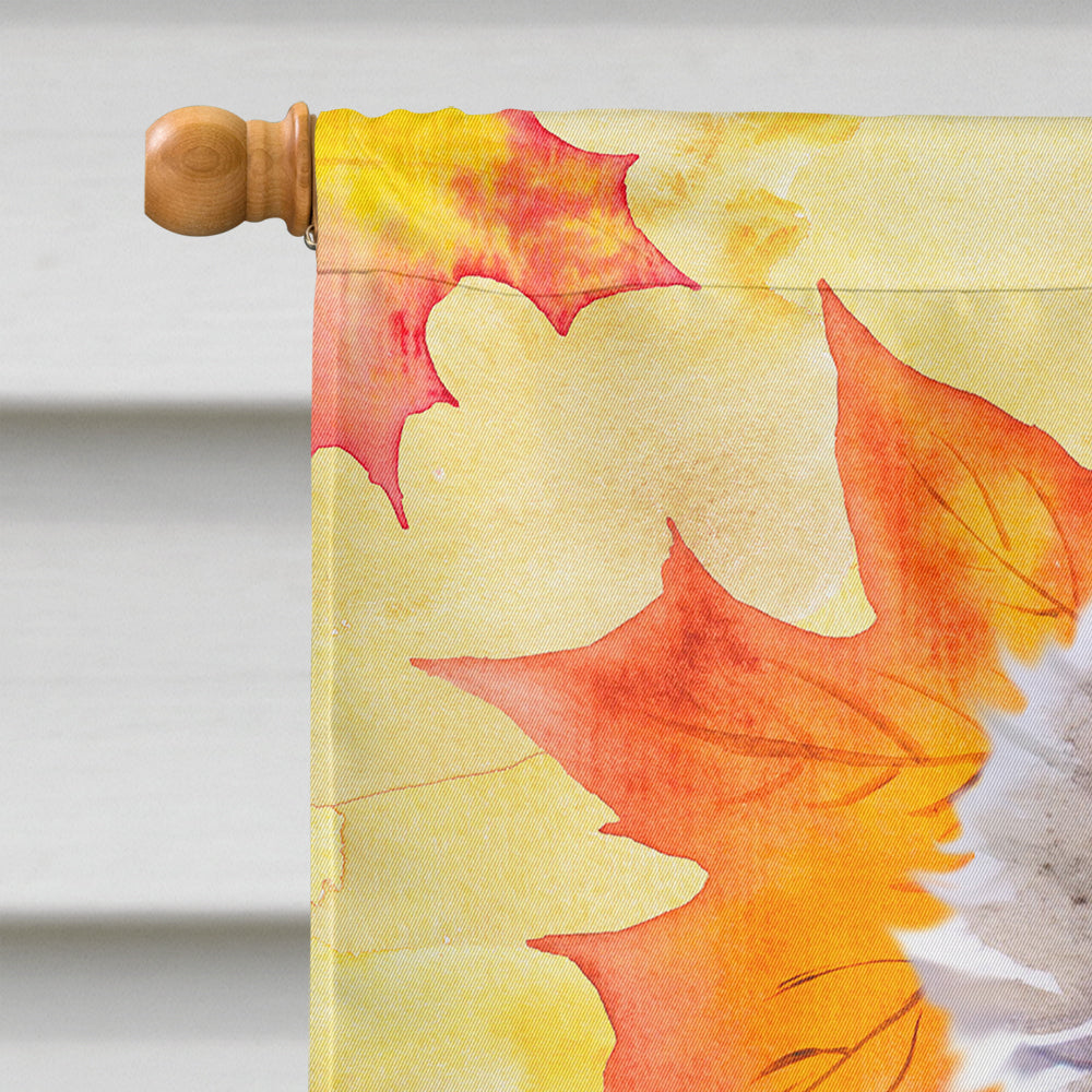 Poodle Fall Flag Canvas House Size BB9926CHF  the-store.com.