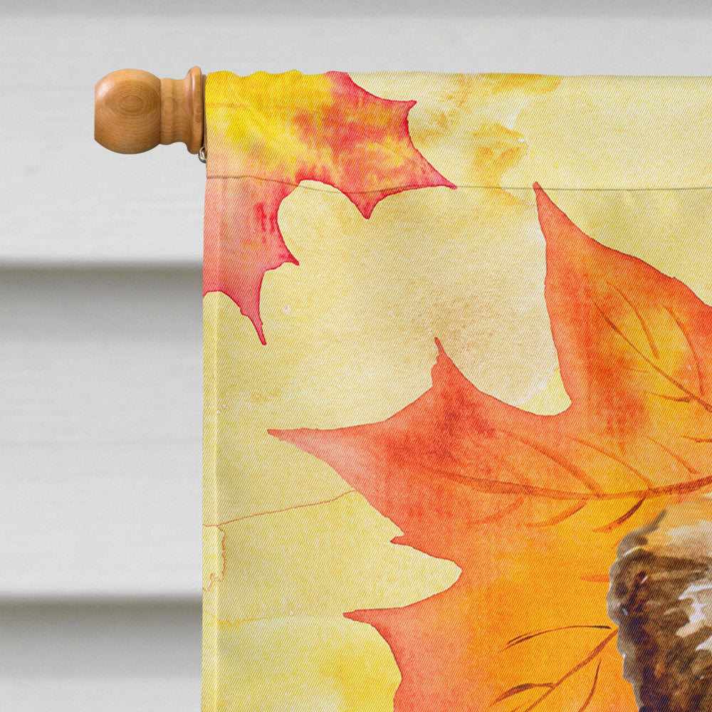 Small Brabant Griffon Fall Flag Canvas House Size BB9928CHF  the-store.com.