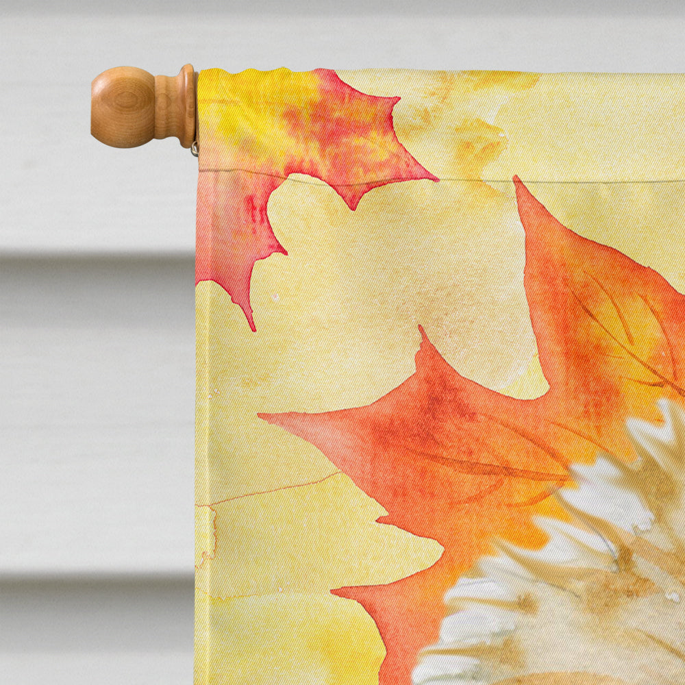 Morkie Fall Flag Canvas House Size BB9929CHF  the-store.com.