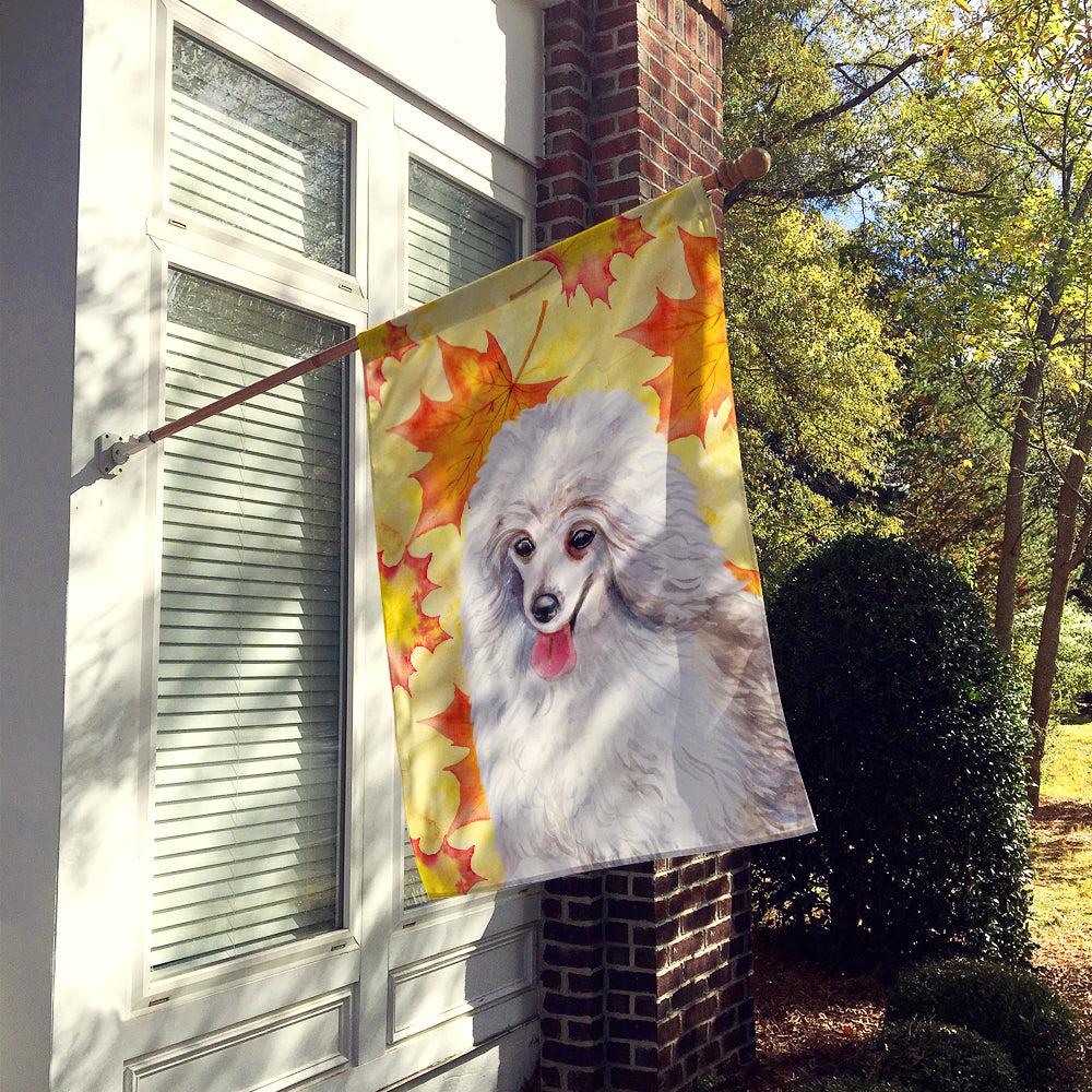 Medium White Poodle Fall Flag Canvas House Size BB9944CHF