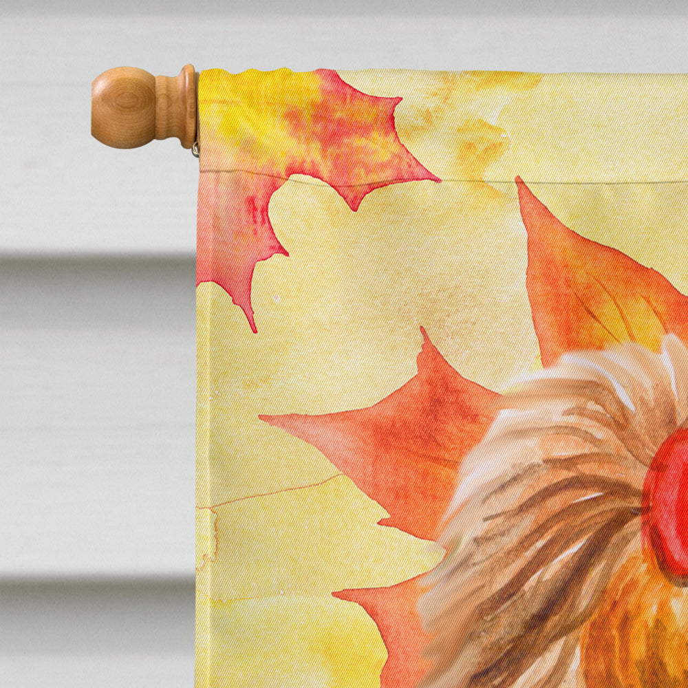 Yorkshire Terrier Fall Flag Canvas House Size BB9946CHF