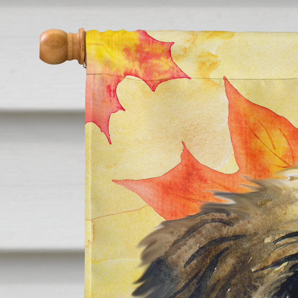 Brussels Griffon Fall Flag Canvas House Size BB9948CHF