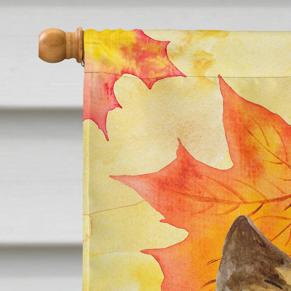Cairn Terrier Fall Flag Canvas House Size BB9951CHF  the-store.com.