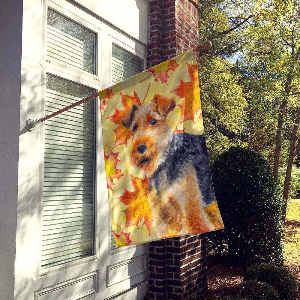 Welsh Terrier Fall Flag Canvas House Size BB9961CHF