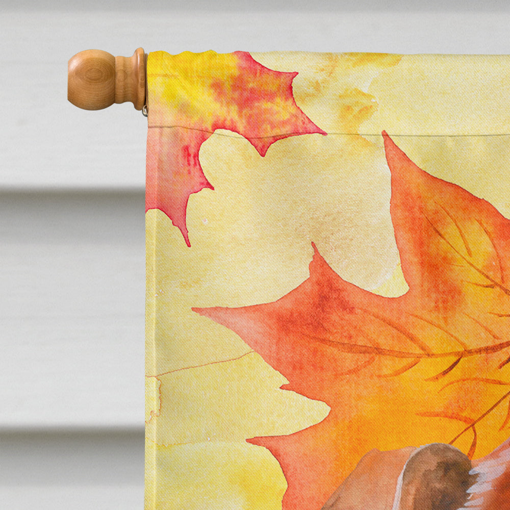 Red Dachshund Fall Flag Canvas House Size BB9968CHF  the-store.com.