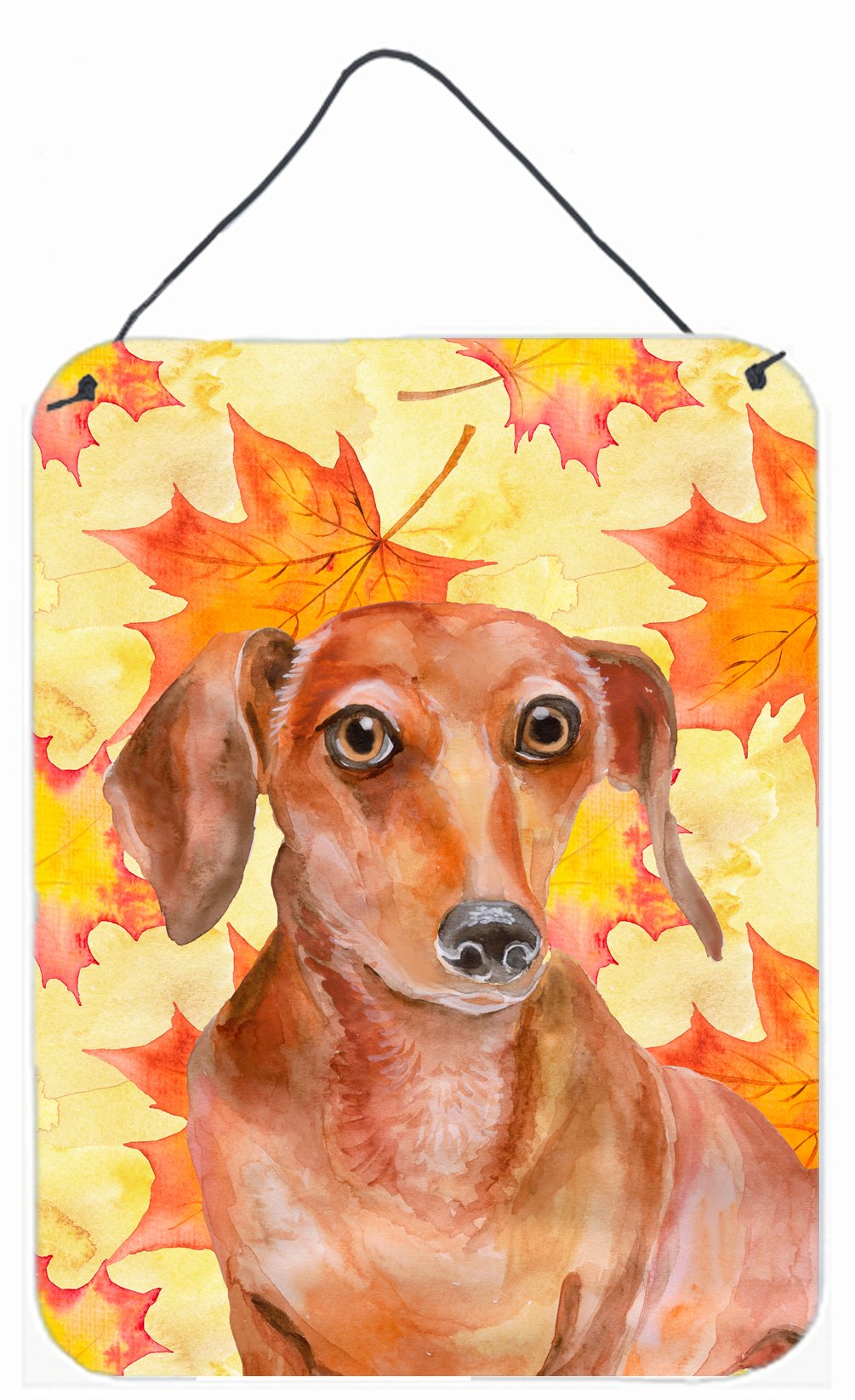 Red Dachshund Fall Wall or Door Hanging Prints BB9968DS1216 by Caroline&#39;s Treasures