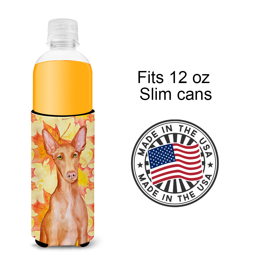 Pharaoh Hound Fall  Ultra Hugger for slim cans BB9976MUK
