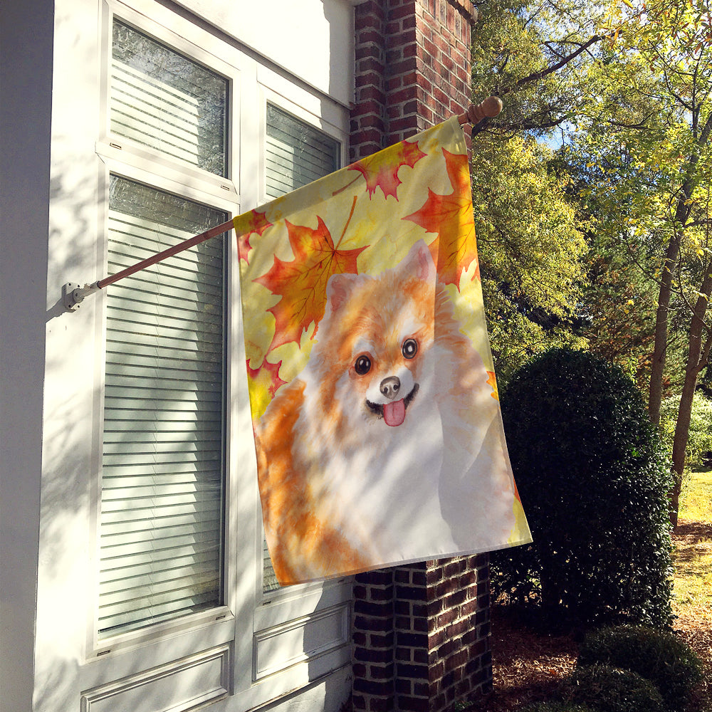 Pomeranian #2 Fall Flag Canvas House Size BB9977CHF
