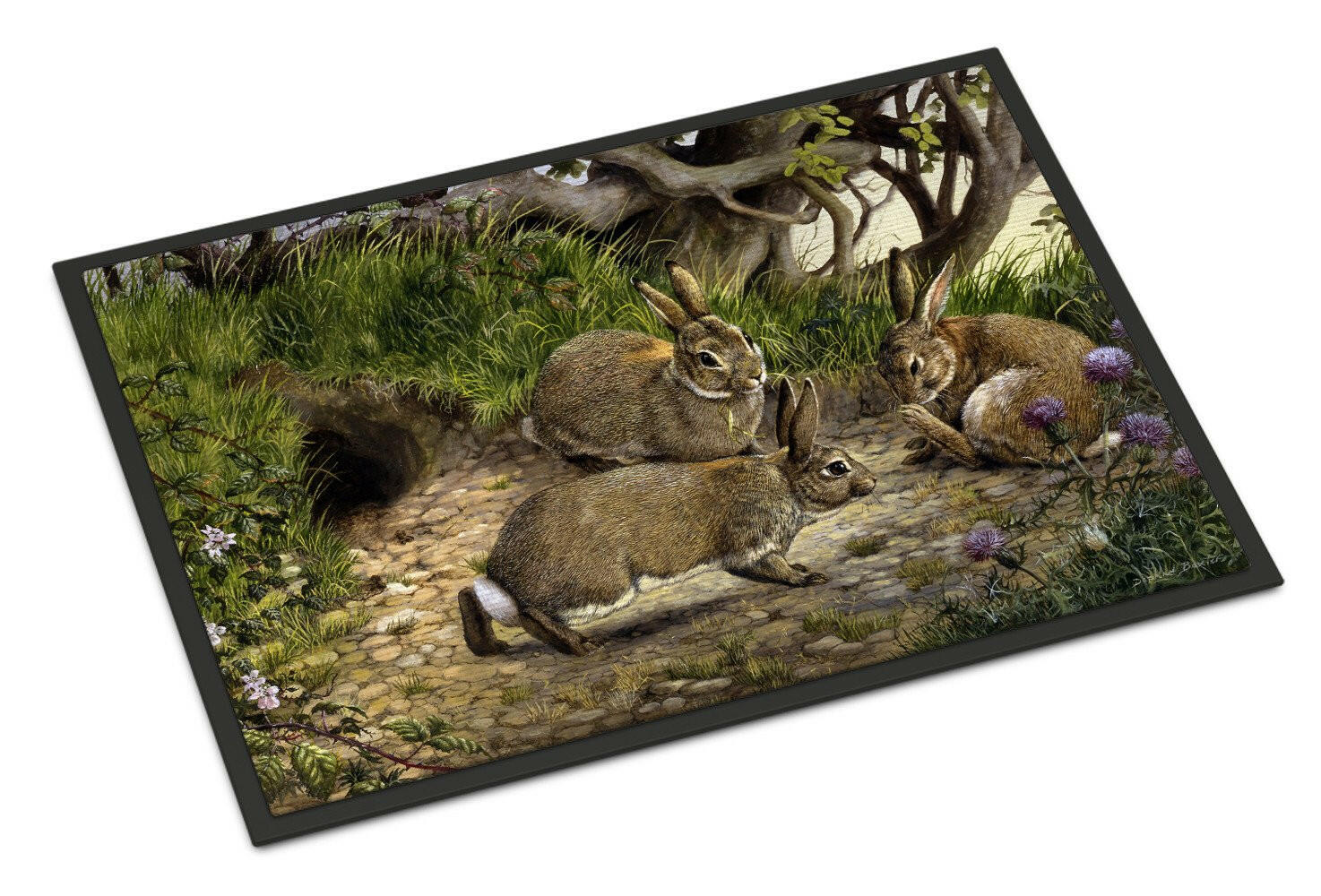 Rabbits and the Rabbit Hole Indoor or Outdoor Mat 18x27 BDBA0136MAT - the-store.com