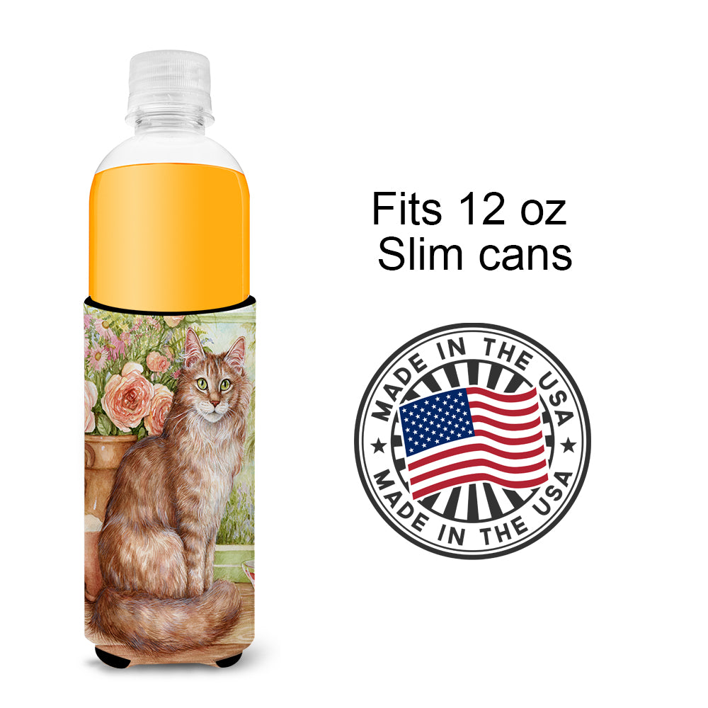 Maine Coon Cat by Debbie Cook Ultra Beverage Insulators for slim cans CDCO0236MUK