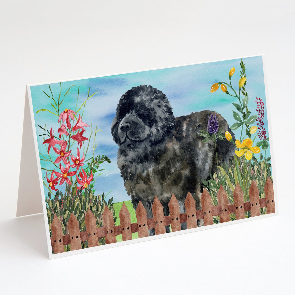 Buy this Newfoundland Spring Greeting Cards and Envelopes Pack of 8