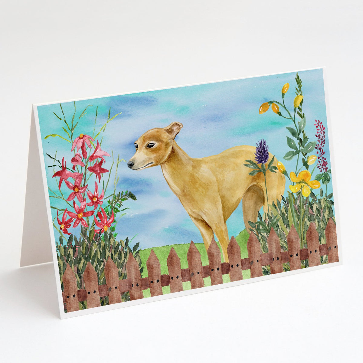 Buy this Italian Greyhound Spring Greeting Cards and Envelopes Pack of 8