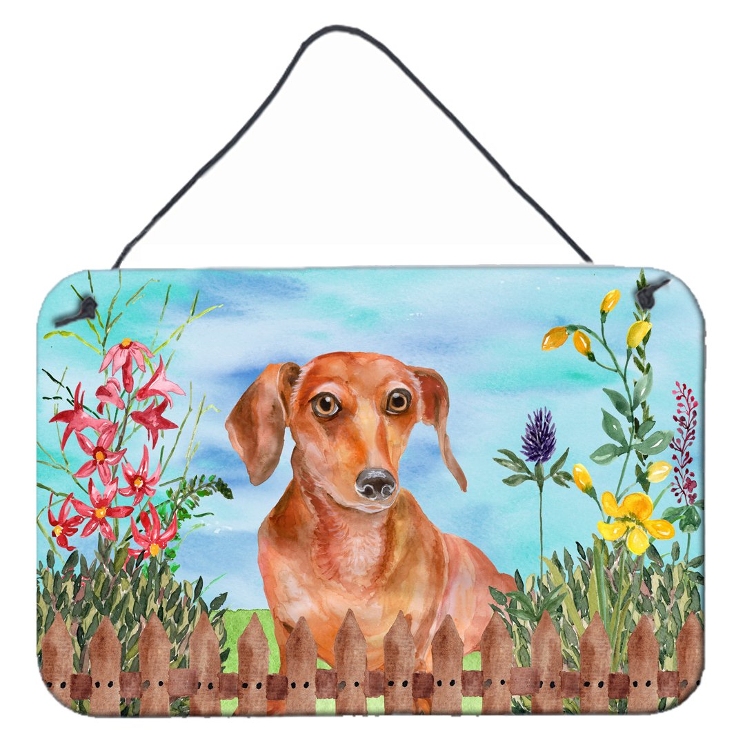 Red Dachshund Spring Wall or Door Hanging Prints CK1269DS812 by Caroline&#39;s Treasures