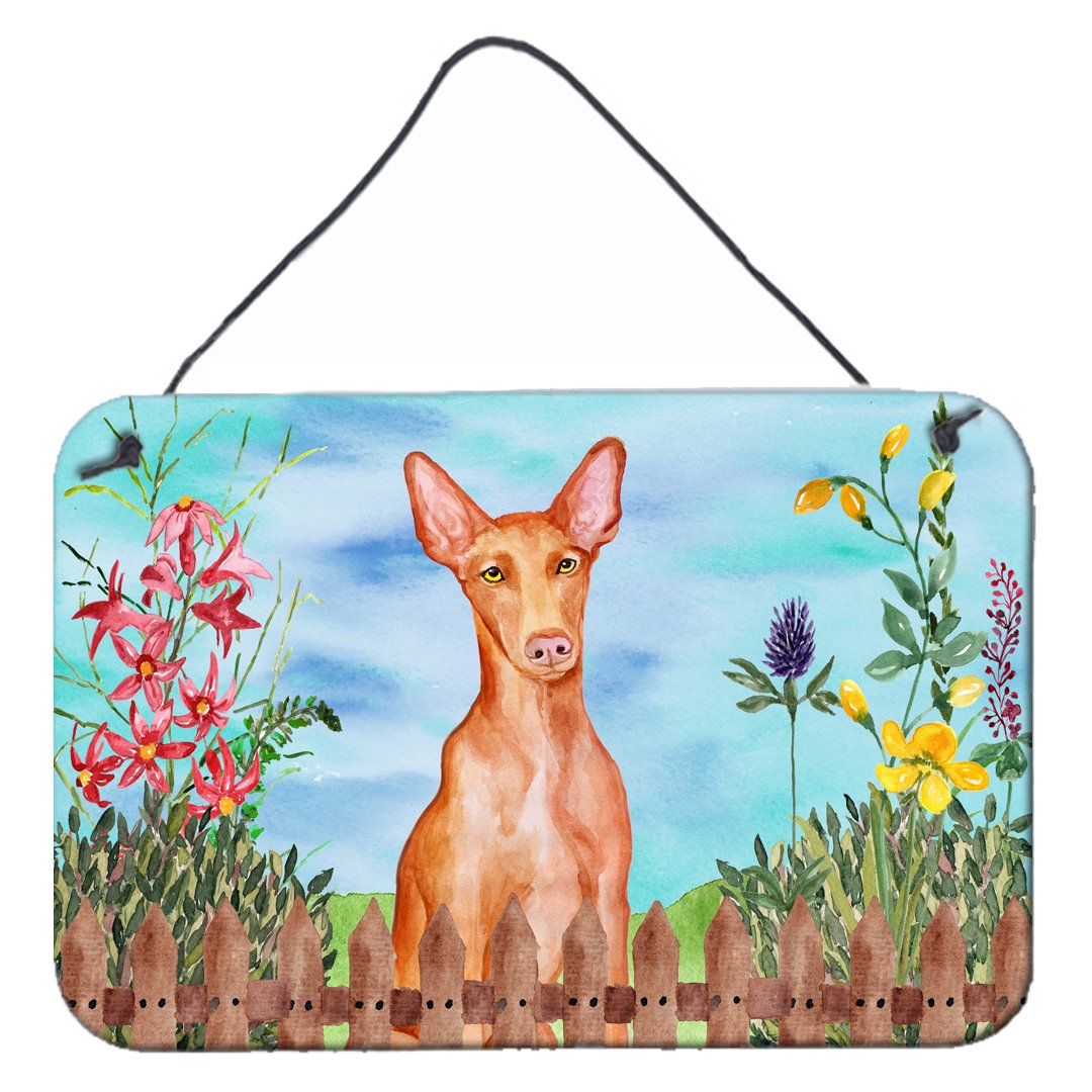 Pharaoh Hound Spring Wall or Door Hanging Prints CK1277DS812 by Caroline&#39;s Treasures