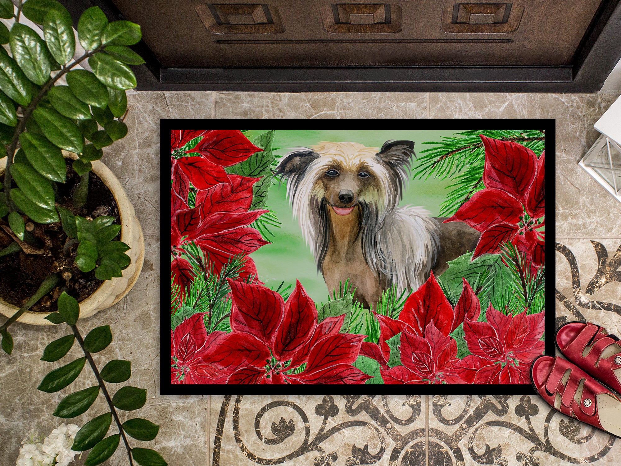 Chinese Crested Poinsettas Indoor or Outdoor Mat 18x27 CK1307MAT - the-store.com