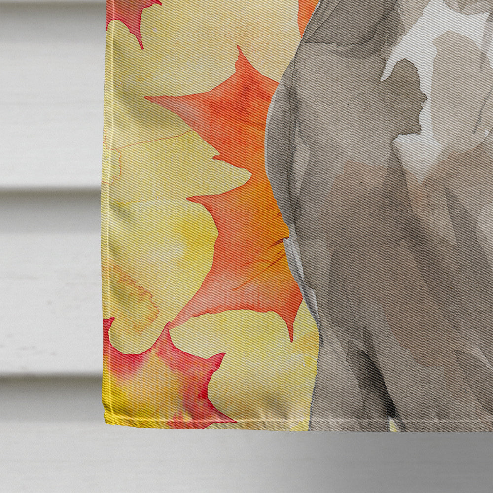 Fall Leaves Weimaraner Flag Canvas House Size CK1822CHF