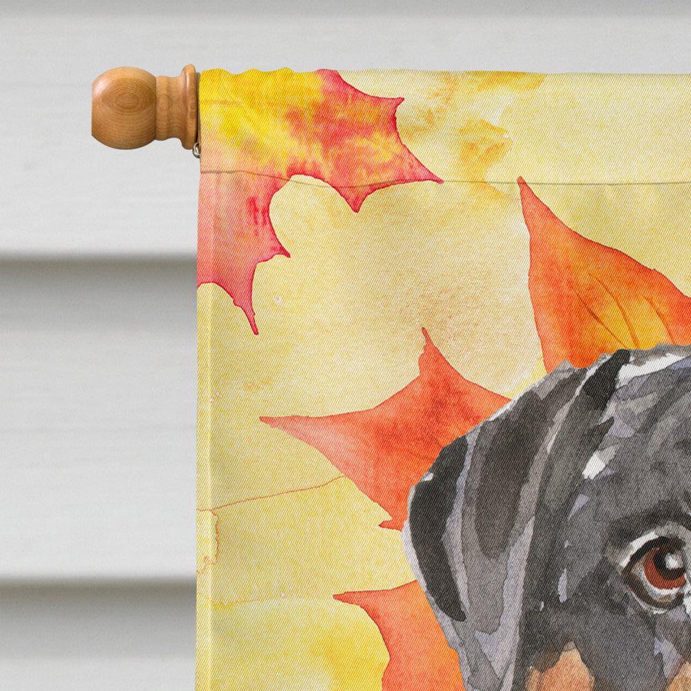 Fall Leaves Rottweiler Flag Canvas House Size CK1831CHF