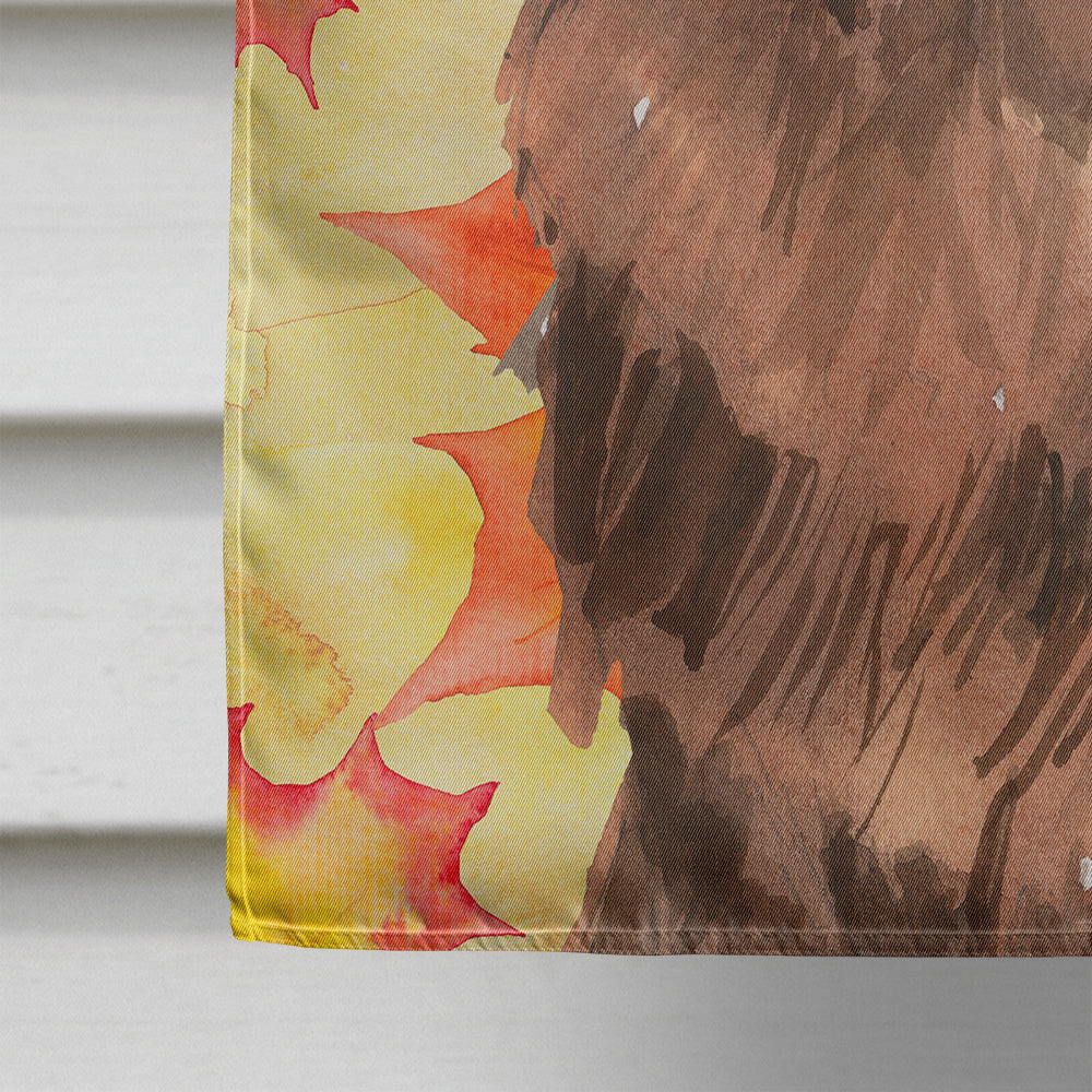 Fall Leaves Newfoundland Flag Canvas House Size CK1832CHF  the-store.com.