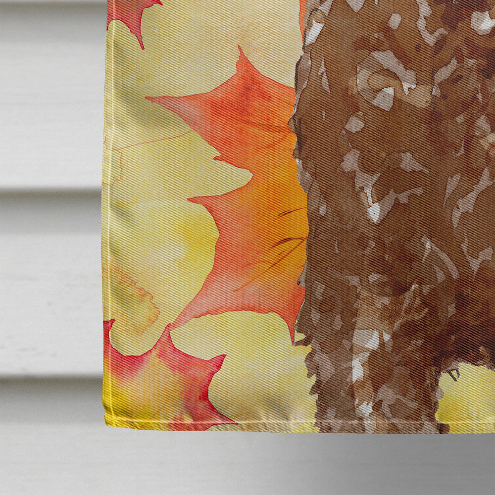 Fall Leaves Labradoodle Flag Canvas House Size CK1837CHF  the-store.com.