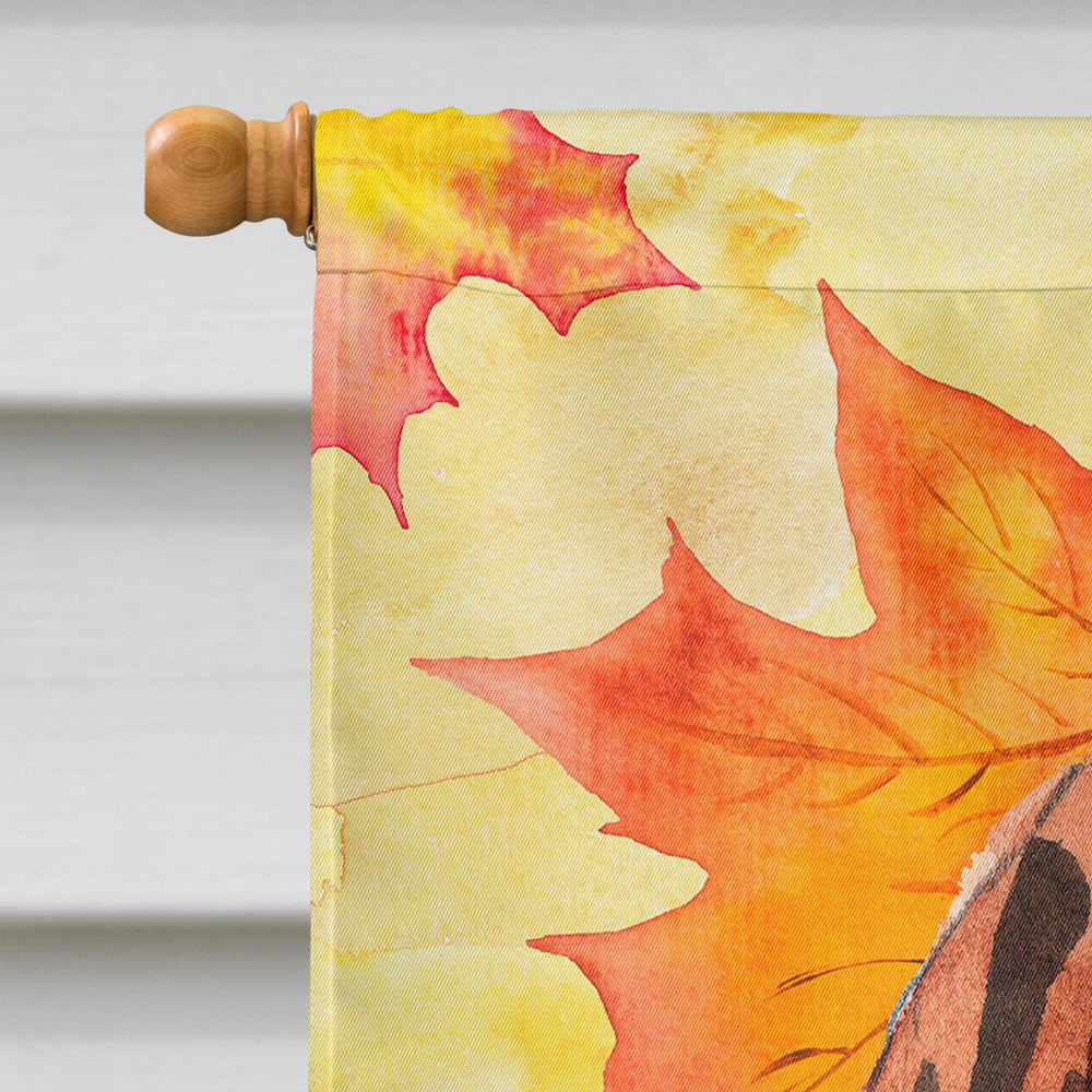 Fall Leaves Vizsla Flag Canvas House Size CK1840CHF  the-store.com.