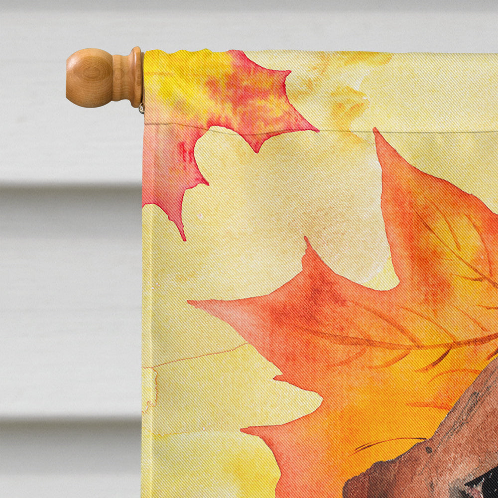 Fall Leaves Basset Hound Flag Canvas House Size CK1853CHF  the-store.com.
